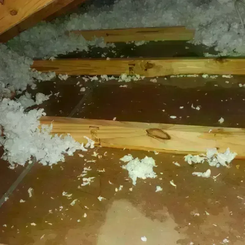 Attic Water Damage in Mankato, KS