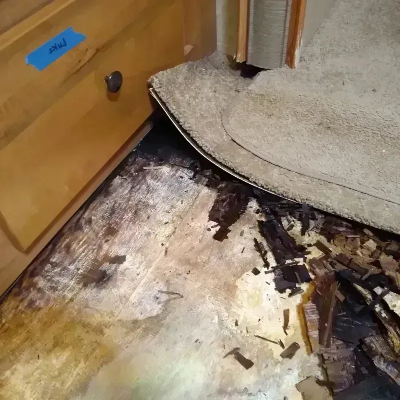 Wood Floor Water Damage in Mankato, KS